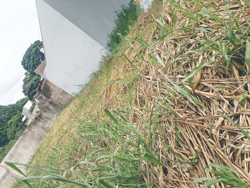 Imobiliária Ribeirão Preto - Aluga Ribeirão - Terreno - Alto da Boa Vista - Ribeirão Preto