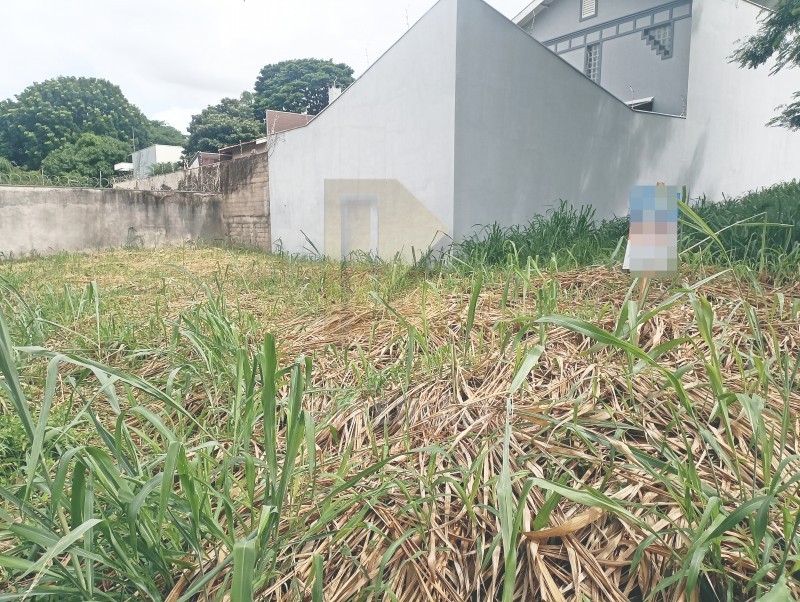 Imobiliária Ribeirão Preto - Aluga Ribeirão - Terreno - Alto da Boa Vista - Ribeirão Preto