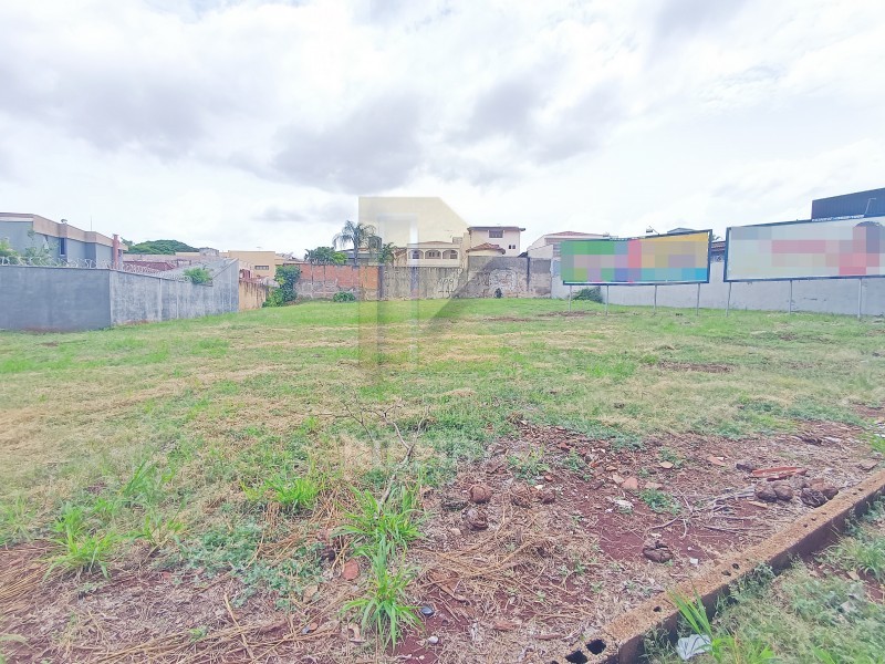Imobiliária Ribeirão Preto - Aluga Ribeirão - Terreno - Alto da Boa Vista - Ribeirão Preto