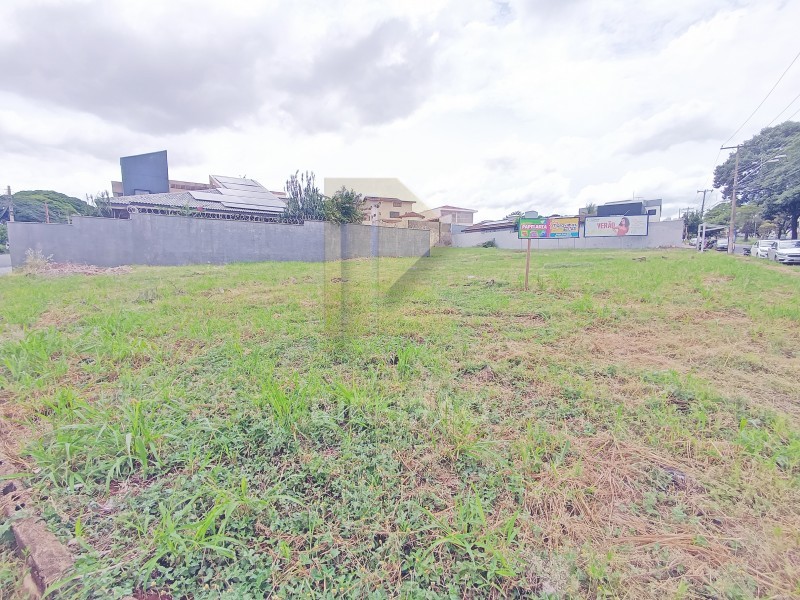 Imobiliária Ribeirão Preto - Aluga Ribeirão - Terreno - Alto da Boa Vista - Ribeirão Preto