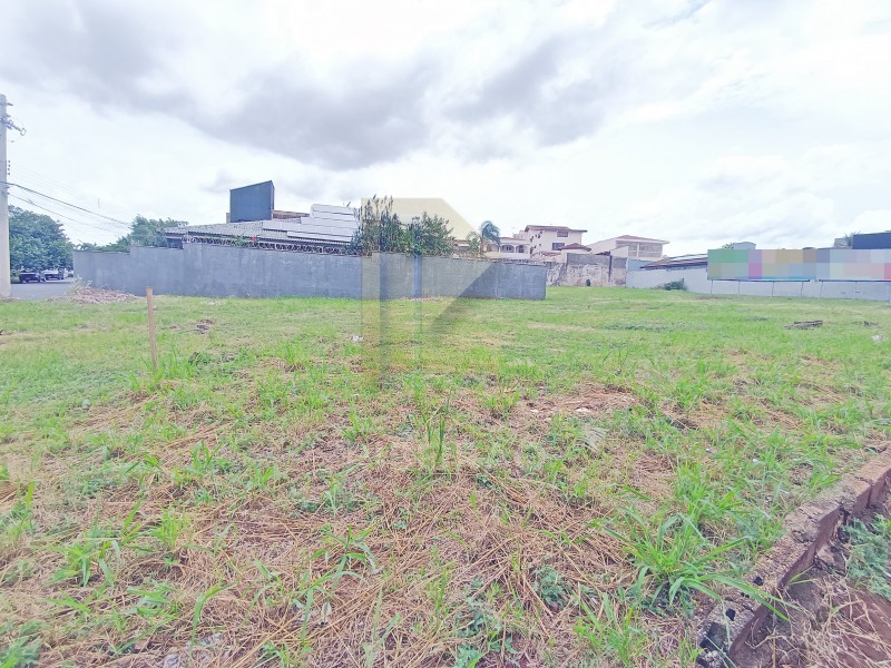 Imobiliária Ribeirão Preto - Aluga Ribeirão - Terreno - Alto da Boa Vista - Ribeirão Preto