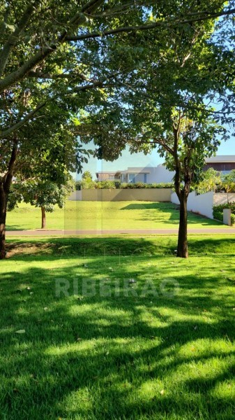 Imobiliária Ribeirão Preto - Aluga Ribeirão - Terreno - Jardim Olhos d Agua - Ribeirão Preto