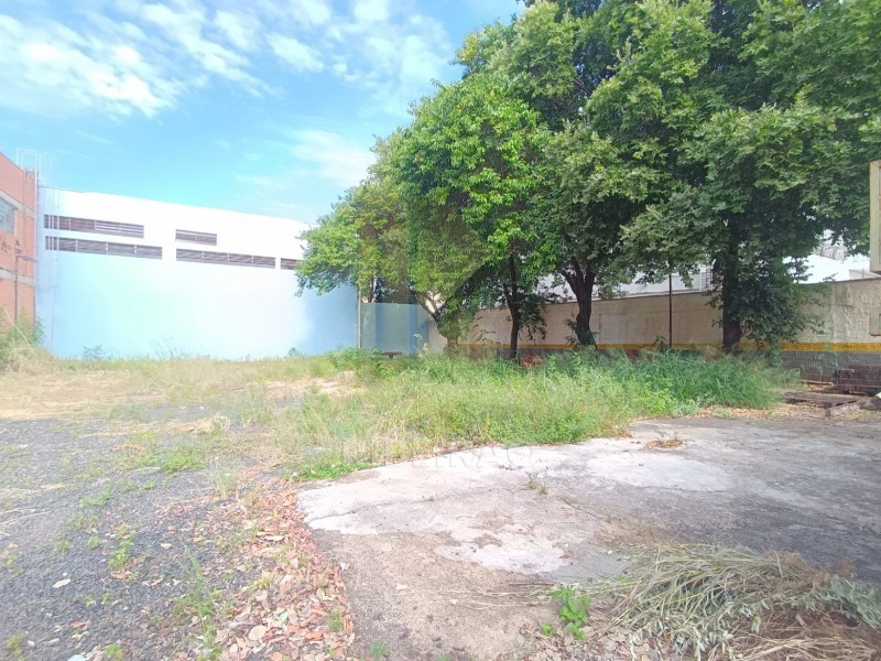 Imobiliária Ribeirão Preto - Aluga Ribeirão - Prédio Comercial - Vila Mariana - Ribeirão Preto
