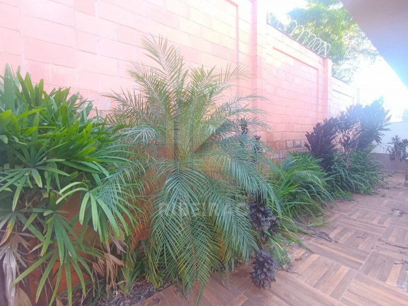 Imobiliária Ribeirão Preto - Aluga Ribeirão - Casa - Bonfim Paulista - Ribeirão Preto