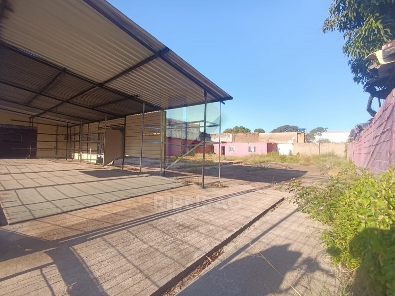Imobiliária Ribeirão Preto - Aluga Ribeirão - Terreno - Vila Mariana - Ribeirão Preto