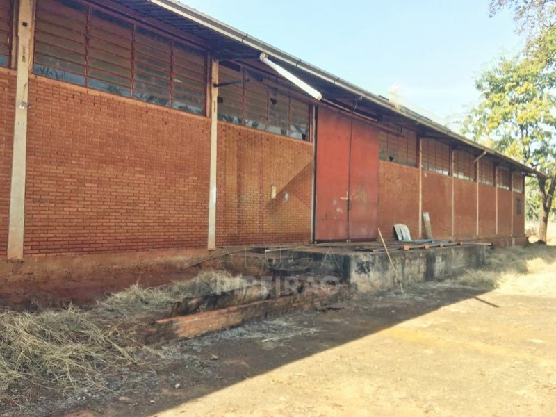 Imobiliária Ribeirão Preto - Aluga Ribeirão - Barracão - Manoel Penna - Ribeirão Preto