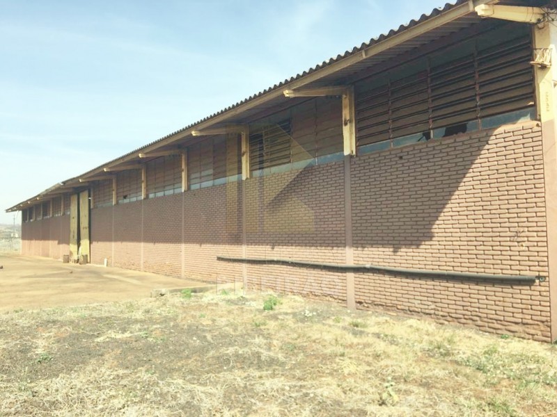 Imobiliária Ribeirão Preto - Aluga Ribeirão - Barracão - Manoel Penna - Ribeirão Preto