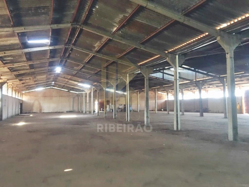 Imobiliária Ribeirão Preto - Aluga Ribeirão - Barracão - Manoel Penna - Ribeirão Preto