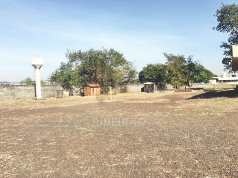 Imobiliária Ribeirão Preto - Aluga Ribeirão - Barracão - Manoel Penna - Ribeirão Preto