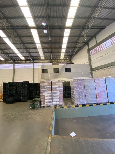 Imobiliária Ribeirão Preto - Aluga Ribeirão - Galpão/Área - Centro - Ribeirão Preto