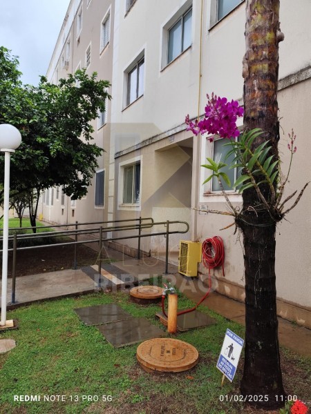 Imobiliária Ribeirão Preto - Aluga Ribeirão - Apartamento - Parque São Sebastião  - Ribeirão Preto