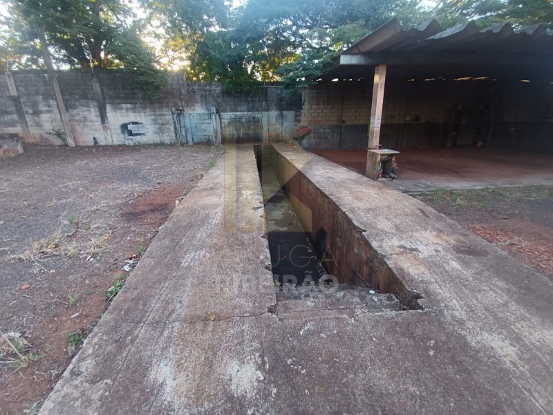 Imobiliária Ribeirão Preto - Aluga Ribeirão - Galpão/Área - Parque Industrial Lagoinha - Ribeirão Preto