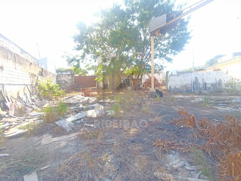 Imobiliária Ribeirão Preto - Aluga Ribeirão - Galpão/Área - Campos Eliseos - Ribeirão Preto