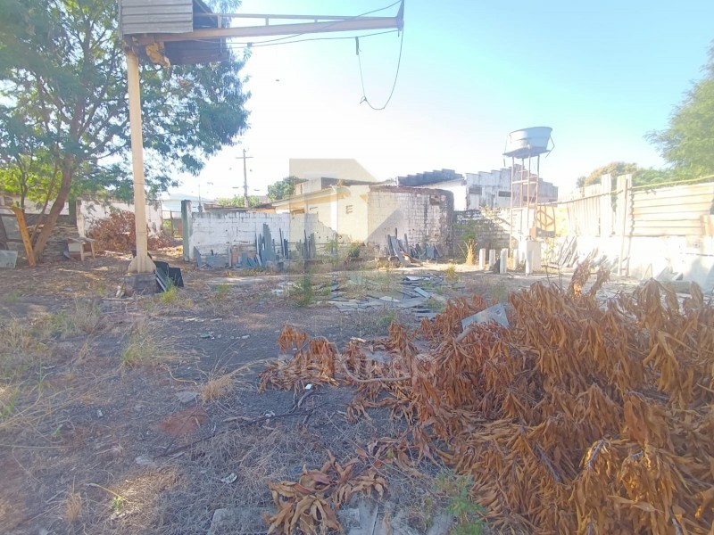 Imobiliária Ribeirão Preto - Aluga Ribeirão - Galpão/Área - Campos Eliseos - Ribeirão Preto