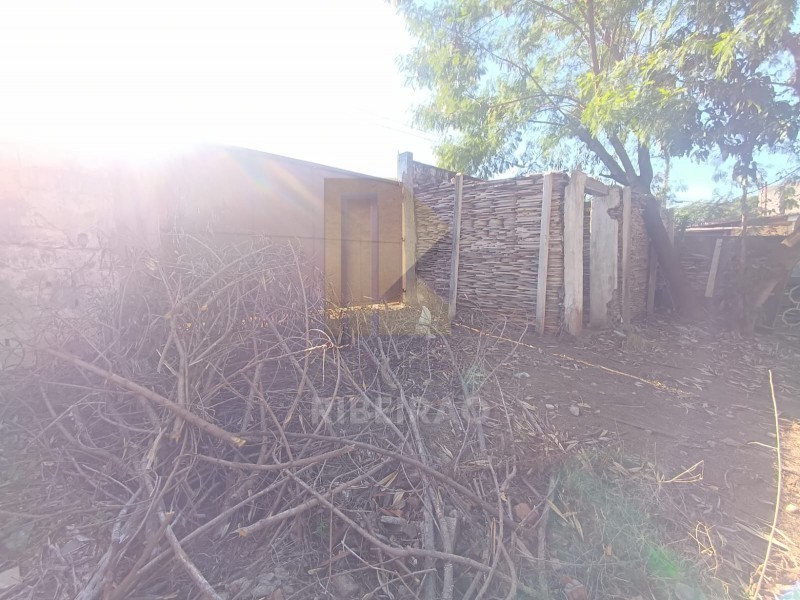 Imobiliária Ribeirão Preto - Aluga Ribeirão - Galpão/Área - Campos Eliseos - Ribeirão Preto