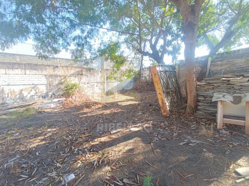 Imobiliária Ribeirão Preto - Aluga Ribeirão - Galpão/Área - Campos Eliseos - Ribeirão Preto
