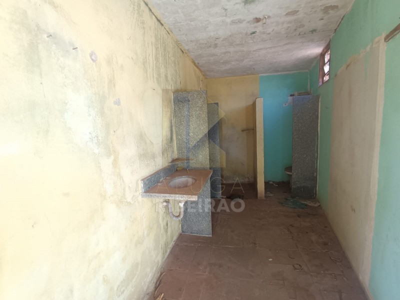 Imobiliária Ribeirão Preto - Aluga Ribeirão - Galpão/Área - Campos Eliseos - Ribeirão Preto