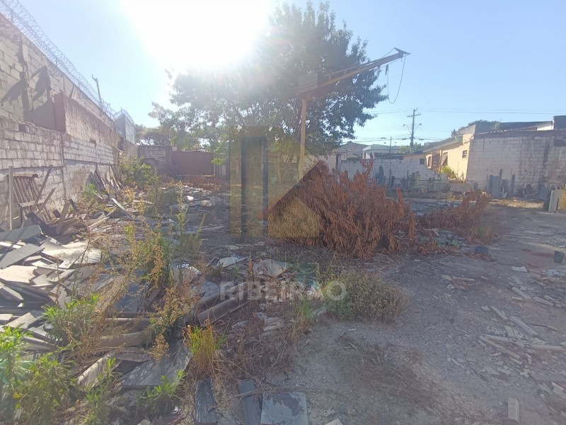 Imobiliária Ribeirão Preto - Aluga Ribeirão - Galpão/Área - Campos Eliseos - Ribeirão Preto