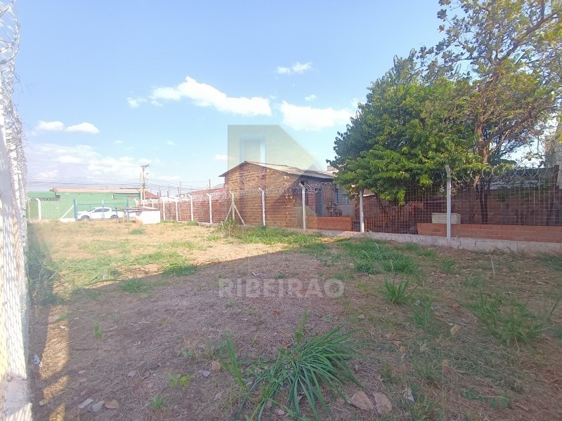 Imobiliária Ribeirão Preto - Aluga Ribeirão - Terreno - Campos Eliseos - Ribeirão Preto