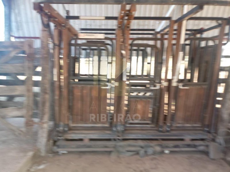Imobiliária Ribeirão Preto - Aluga Ribeirão - Sítio - Centro - Santa Fé de Minas