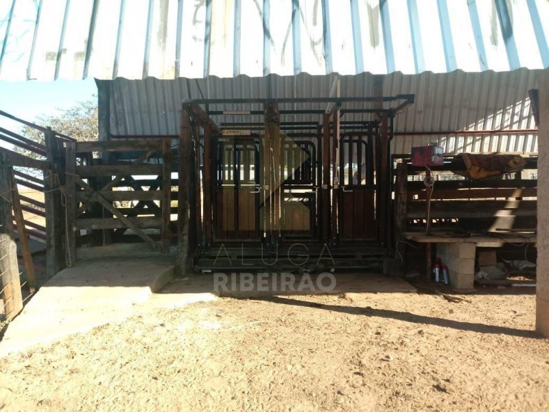 Imobiliária Ribeirão Preto - Aluga Ribeirão - Sítio - Centro - Santa Fé de Minas