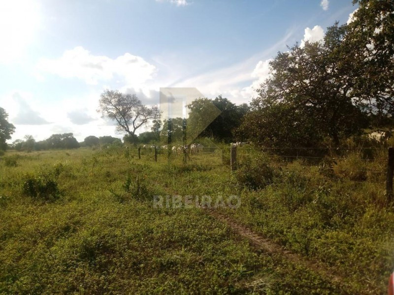 Imobiliária Ribeirão Preto - Aluga Ribeirão - Sítio - Centro - Santa Fé de Minas