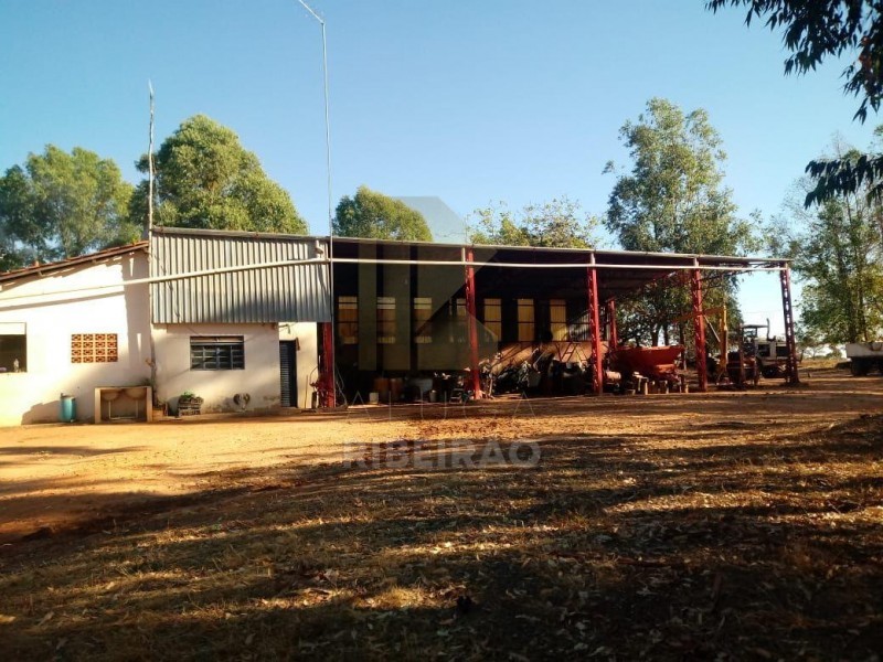Imobiliária Ribeirão Preto - Aluga Ribeirão - Sítio - Centro - Santa Fé de Minas