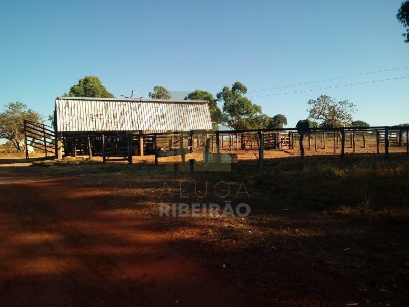 Imobiliária Ribeirão Preto - Aluga Ribeirão - Sítio - Centro - Santa Fé de Minas