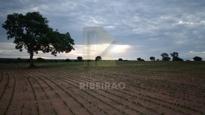 Imobiliária Ribeirão Preto - Aluga Ribeirão - Sítio - Centro - Santa Fé de Minas