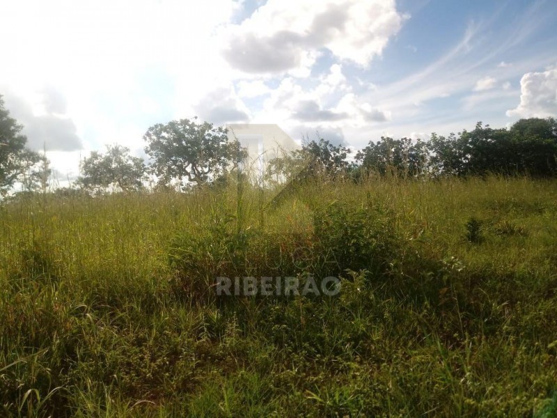 Imobiliária Ribeirão Preto - Aluga Ribeirão - Sítio - Centro - Santa Fé de Minas