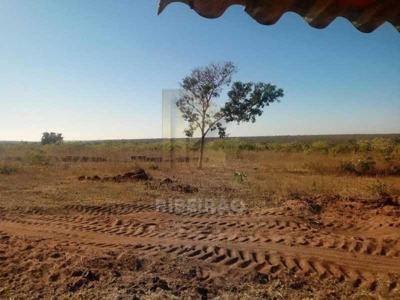 Imobiliária Ribeirão Preto - Aluga Ribeirão - Sítio - Centro - Santa Fé de Minas
