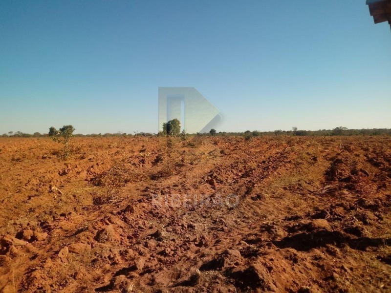 Imobiliária Ribeirão Preto - Aluga Ribeirão - Sítio - Centro - Santa Fé de Minas
