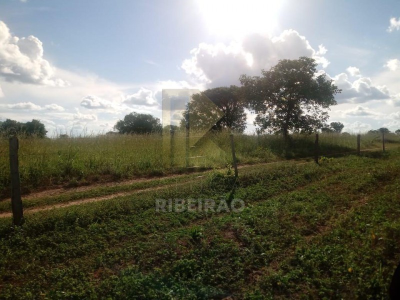 Imobiliária Ribeirão Preto - Aluga Ribeirão - Sítio - Centro - Santa Fé de Minas