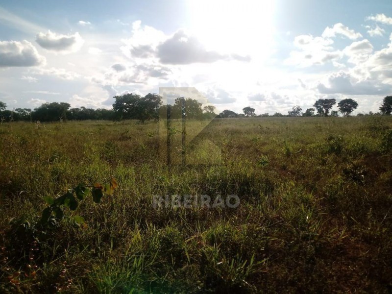 Imobiliária Ribeirão Preto - Aluga Ribeirão - Sítio - Centro - Santa Fé de Minas