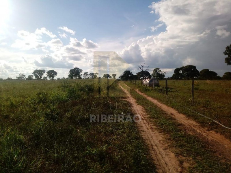 Imobiliária Ribeirão Preto - Aluga Ribeirão - Sítio - Centro - Santa Fé de Minas