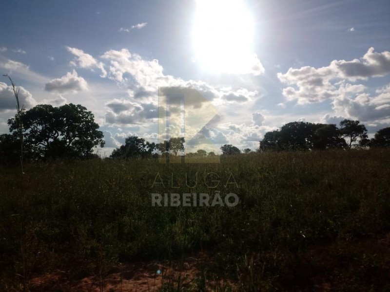 Imobiliária Ribeirão Preto - Aluga Ribeirão - Sítio - Centro - Santa Fé de Minas