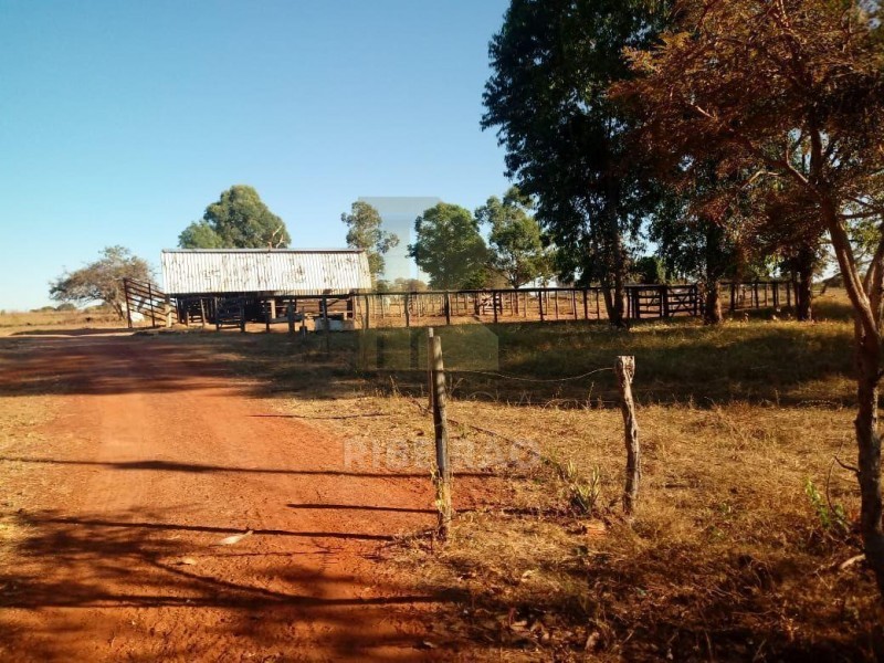 Imobiliária Ribeirão Preto - Aluga Ribeirão - Sítio - Centro - Santa Fé de Minas