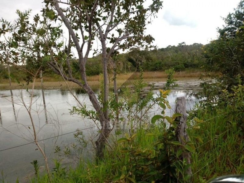 Imobiliária Ribeirão Preto - Aluga Ribeirão - Sítio - Centro - Santa Fé de Minas