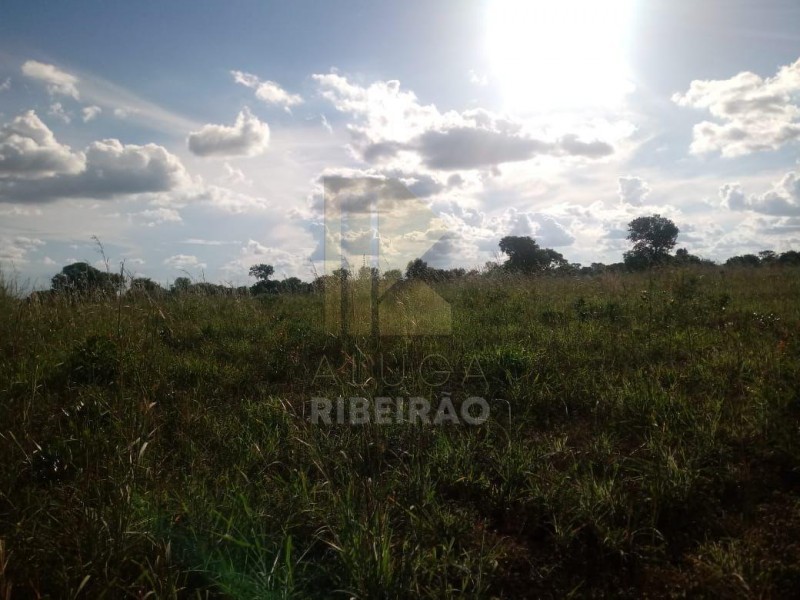 Imobiliária Ribeirão Preto - Aluga Ribeirão - Sítio - Centro - Santa Fé de Minas