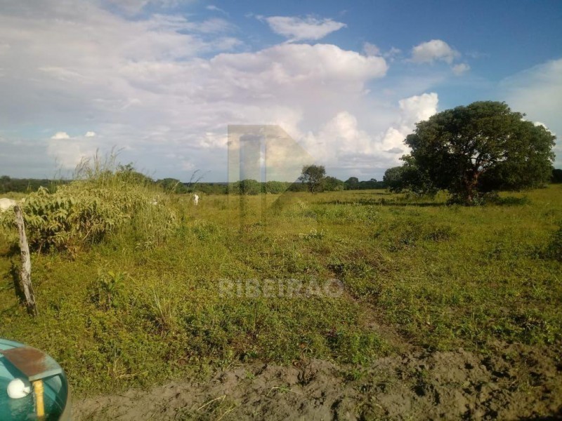 Imobiliária Ribeirão Preto - Aluga Ribeirão - Sítio - Centro - Santa Fé de Minas
