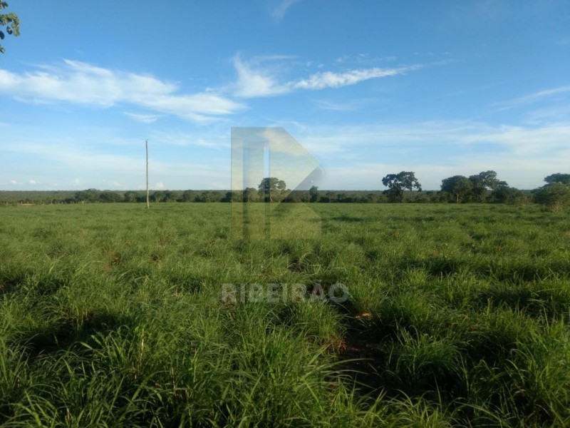 Imobiliária Ribeirão Preto - Aluga Ribeirão - Sítio - Centro - Santa Fé de Minas
