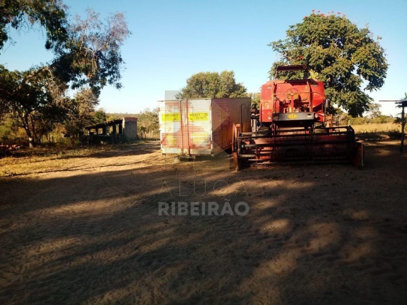 Imobiliária Ribeirão Preto - Aluga Ribeirão - Sítio - Centro - Santa Fé de Minas