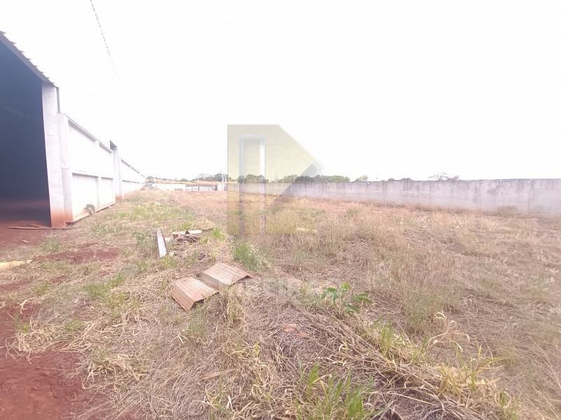 Imobiliária Ribeirão Preto - Aluga Ribeirão - Galpão/Área - Distrito Empresarial Prefeito  - Ribeirão Preto