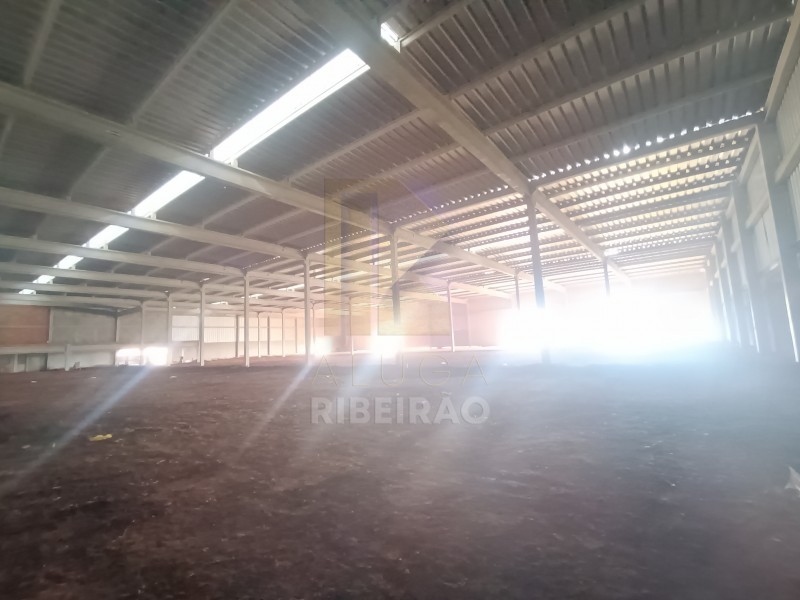Imobiliária Ribeirão Preto - Aluga Ribeirão - Galpão/Área - Distrito Empresarial Prefeito  - Ribeirão Preto