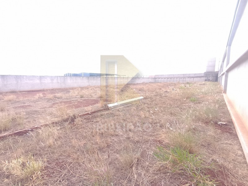 Imobiliária Ribeirão Preto - Aluga Ribeirão - Galpão/Área - Distrito Empresarial Prefeito  - Ribeirão Preto