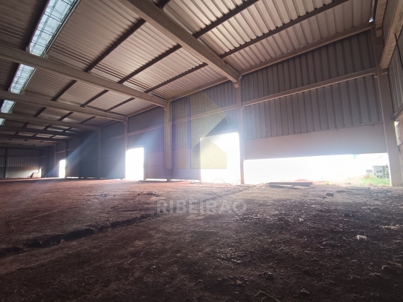 Imobiliária Ribeirão Preto - Aluga Ribeirão - Galpão/Área - Distrito Empresarial Prefeito  - Ribeirão Preto