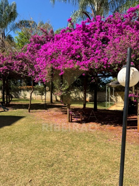 Imobiliária Ribeirão Preto - Aluga Ribeirão - Apartamento - Sumarezinho - Ribeirão Preto