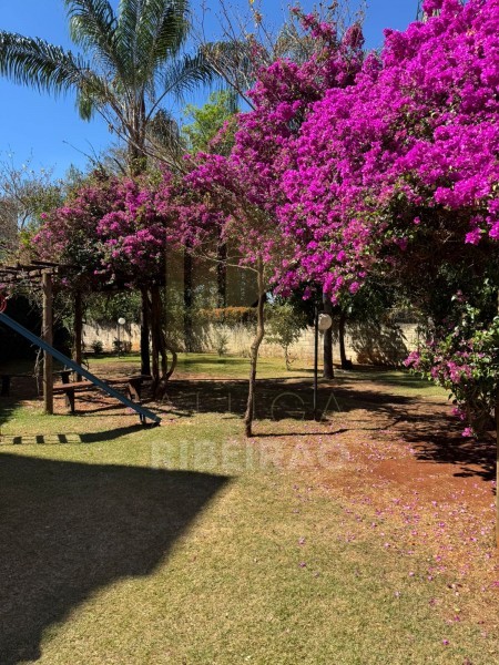 Imobiliária Ribeirão Preto - Aluga Ribeirão - Apartamento - Sumarezinho - Ribeirão Preto