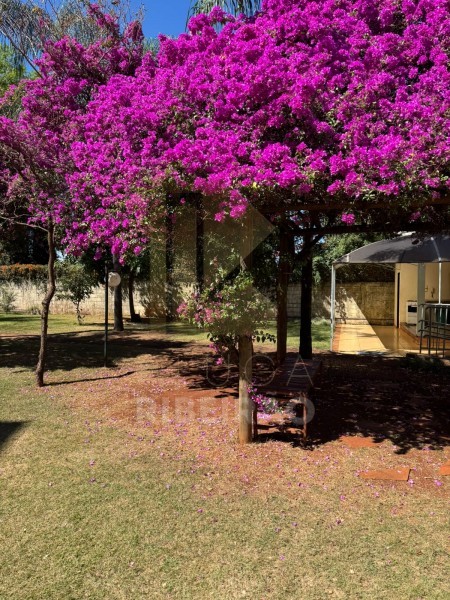 Imobiliária Ribeirão Preto - Aluga Ribeirão - Apartamento - Sumarezinho - Ribeirão Preto