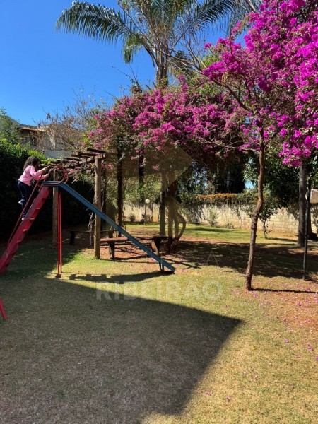 Imobiliária Ribeirão Preto - Aluga Ribeirão - Apartamento - Sumarezinho - Ribeirão Preto